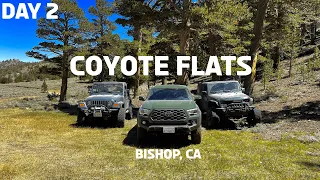 Coyote Flats / Bishop, CA #offroad