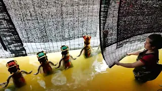 Vietnamese Water Puppet Show - Behind The Scene - Never Seen Before - Vietnam Travel Blog