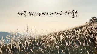 해발 1000m에서 마지막 가을을ㅣ상강 편