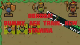 ОБНОВА! ЧтО тАкОе DuMmY и AfK TrAiN в Rucoy Online?