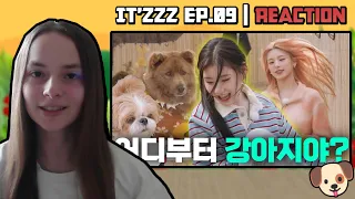 British Girl Reacts To IT'ZZZ EP.09 | When cuties meet puppies