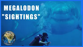 Why do people think Megalodon is alive?