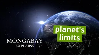 What are the planetary boundaries? | Mongabay Explains