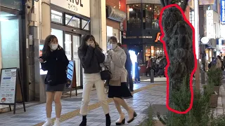 植物が突然動き出すドッキリ / BUSHMAN Prank in Japan Part.12