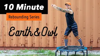 10 Minute Beginner Rebounding Workout FUN with Choreography