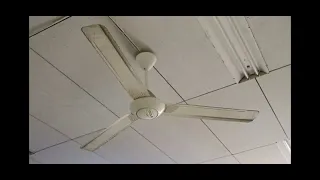 My ceiling fan sightings! 8