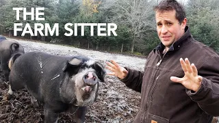How to be a Farm Sitter (And Why It's the Best Way to Start Farming)