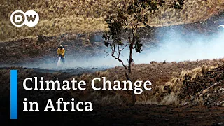 Africa's climate emergency: Hotspots and what needs to happen to avoid a climate crisis? | DW News