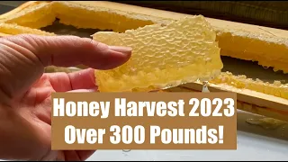 Honey Harvest 2023 ~ spring swarms, harvesting, extraction, bottling, and beeswax of whole season! 🍯