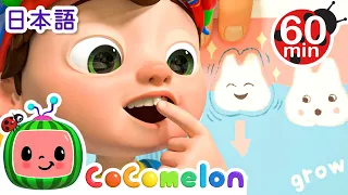 はがぬけた！！ ・ココメロン 日本語 - 幼児向け歌とアニメ ・CoComelon 日本語吹替版
