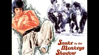 Змея в тени обезьян   (боевые искусства 1979 год)