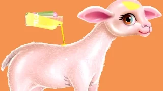 Baby Sheep Care / Cartoon Kids Games