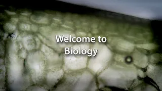 Biology Labs: Orientation and General Information