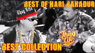 New Hari bahadur thug life collection|best of hari bahadur thug|nepali funny moments