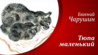 Рассказы о животных для детей  |  Е.И. Чарушин - Друзья - Тюпа маленький🐈