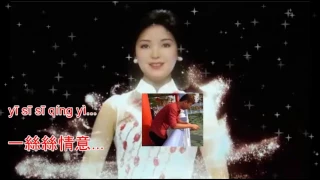 Teresa Teng - Wo zhi zai hu ni - 我只在乎你 - karaoke