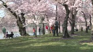 Secretary Salazar and First Lady Michelle Obama celebrate the Cherry Blossom Festival Centennial