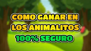 ✅ ¿COMO GANAR EN LOS ANIMALITOS? - AQUÍ TE EXPLICAMOS CÓMO 😱 - MÉTODO MUY EFECTIVO.