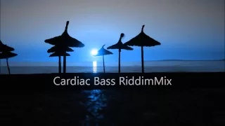 Cardiac Bass Riddim Mix 2012+tracks in the description