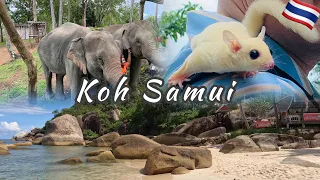 Koh Samui: Torrential Rains At The Beach And Elephant Hugs