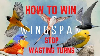 HOW TO WIN WINGSPAN: Stop Wasting Turns