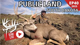 Public Land Mule Deer | South Dakota