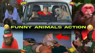 Funny Bollywood Animals Action Scene | Jhallu bhai