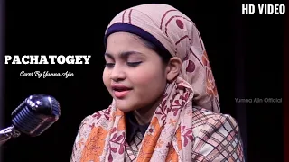 Pachatogey Cover By Yumna Ajin