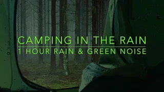 Heavy rain & Green Noise while camping in a Tent. Camping in the rain. 1 hour rain sound