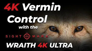 4K Vermin Control with the Sightmark Wraith 4K Ultra - Ultra Clear Foxing Footage