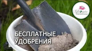 БЕСПЛАТНЫЕ УДОБРЕНИЯ.   ВСЕ О ЗОЛЕ И УГЛЕ