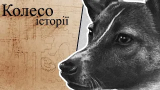 "Колесо історії". Як людство здобувало космос, посилаючи на смерть тварин