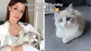 Spending the Sunday with my ragdoll kitten, Vlog 🎀