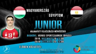 Magyarország - Egyiptom junior férfi válogatott felkészülési mérkőzés