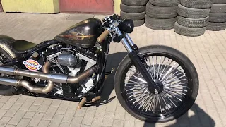 Softail Custom (Project 2017)