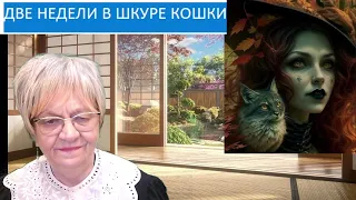 Мистика. Женщина ненавидела кошек. И пришлось ей пару недель пожить в  кошкиной1 шкуре