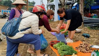 Harvest snails, bamboo shoots, broccoli, ginger in the cabin and bring to the market to sell | Ep.16