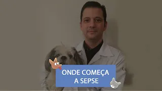 Onde começa a sepse