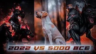 Dog 2022 vs 5000bce @Mythology King MK   #lovestatus