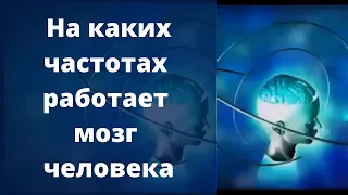 На каких частотах работает мозг человека.