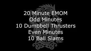 20 min Emom- dumbbell thrusters/ball slams