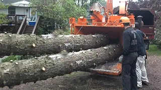 Dangerous Fastest Wood Chipper Machines in Action - Incredible Tree Shredder Working and Woodworking