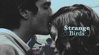 ivan & julia | strange birds