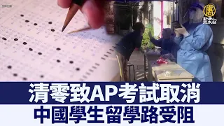 清零致AP考試取消 中國學生留學路受阻｜時代潮流｜20220509