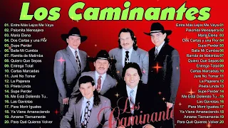 LOS CAMINANTES 30 GRANDES ÉXITOS ROMÁNTICOS   LOS CAMINANTES SUS MEJORES CANCIONES