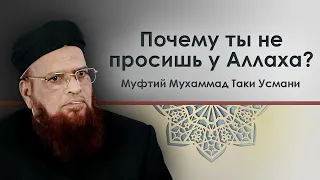 Муфтий Мухаммад Таки Усмани - Почему ты не просишь у Аллаха?