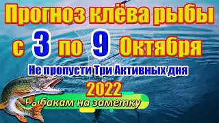 Прогноз клева рыбы на эту неделю с 3 по 9 Октября Календарь рыбака на Октябрь Прогноз клева