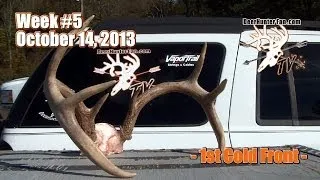 Big Buck with Bow in New York (BBD and a Doe)