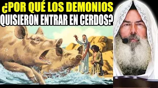 Roeh Javier Palacios Celorio 2023 🆘 ¿Por Qué Los Demonios Quisieron Entrar En Cerdos? ✝️ Shalom132