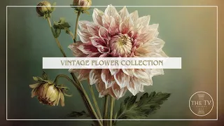 Vintage Floral Collection | 4K TV Frame Art Screensaver | Vintage Floral Inspired Art | 6 Scenes